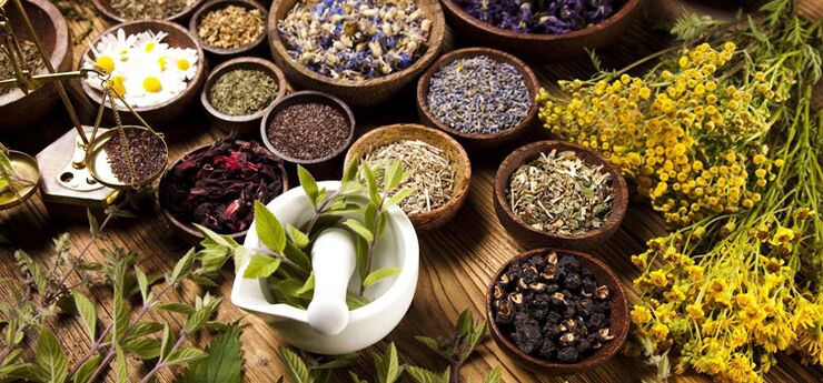 Herbs and medicinal plants in alternative medicine that improve the condition of patients with prostatitis