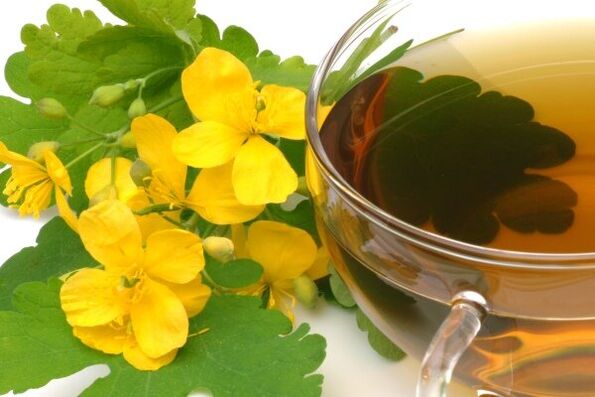 celandine infusion for prostatitis